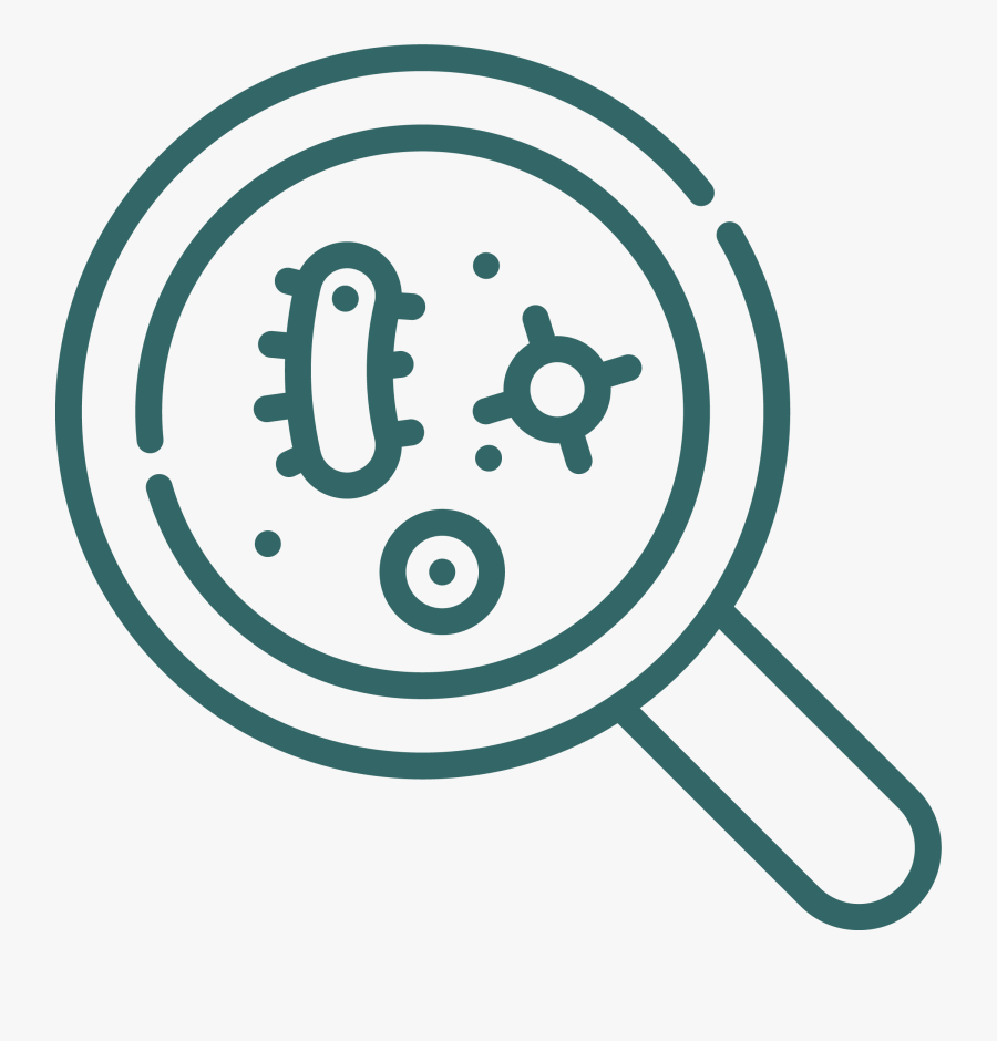 Discover Png, Transparent Clipart