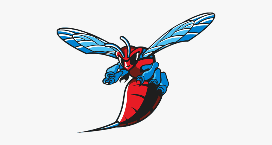 The Hornets Place Third In The Dsu Farm Run, Transparent Clipart