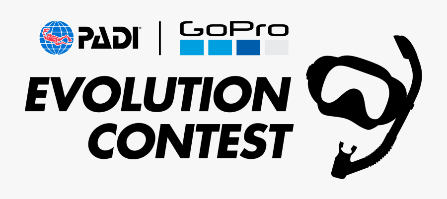 Padi - - Padi, Transparent Clipart