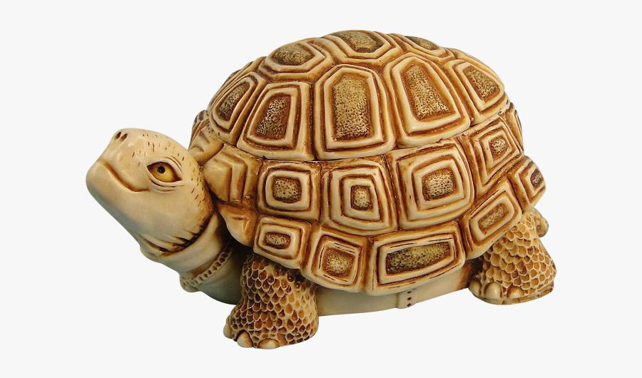 Sea Turtle Clipart Transparent Background - Harmony Kingdom Turtle Box, Transparent Clipart