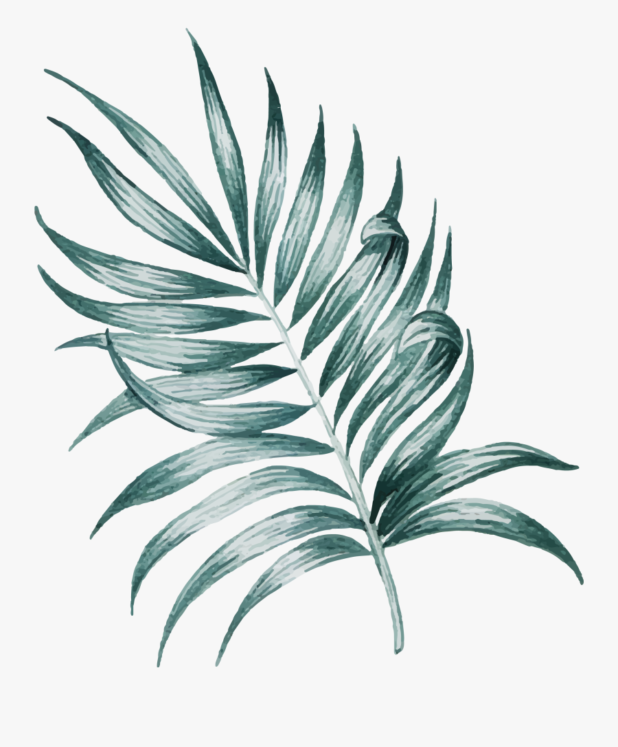 Hello There Beautiful Stranger - Tropical Leaf Psd, Transparent Clipart