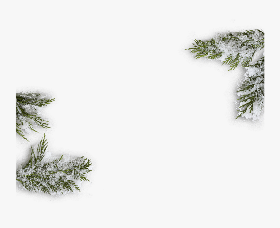 Transparent Snow Tree Png - Snow Borders Png, Transparent Clipart