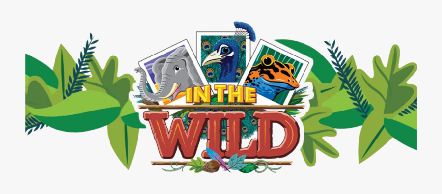 Transparent Vacation Bible School Clipart - Vbs 2019 In The Wild, Transparent Clipart