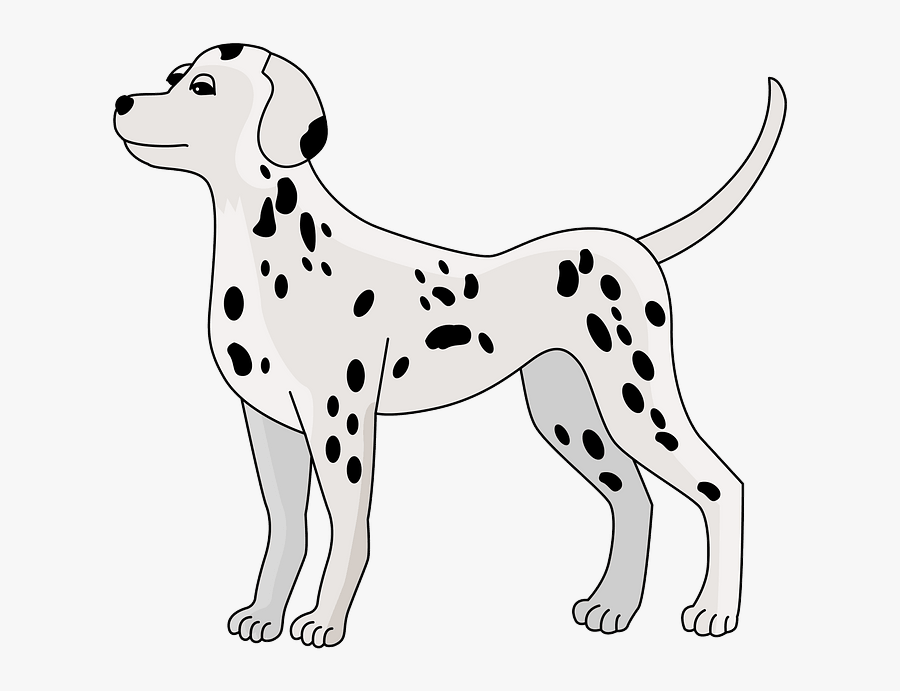 Dalmatyńczyk Szablon, Transparent Clipart