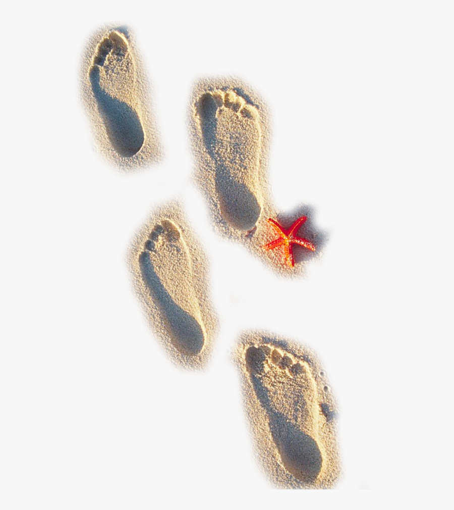 Footsteps Clipart Beach - Footprints In The Sand Png, Transparent Clipart
