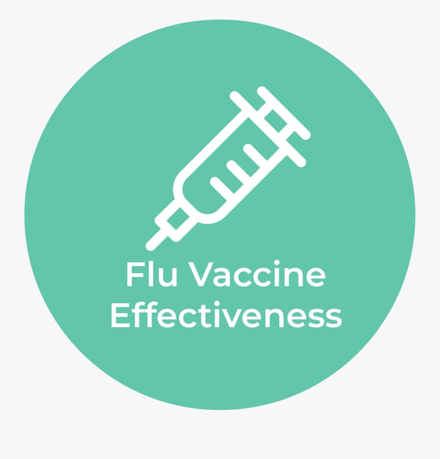 Circle, Transparent Clipart