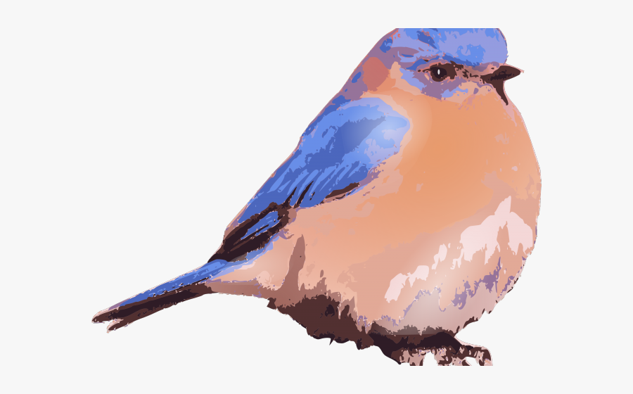 Cartoon Transparent Background Blue Bird, Transparent Clipart