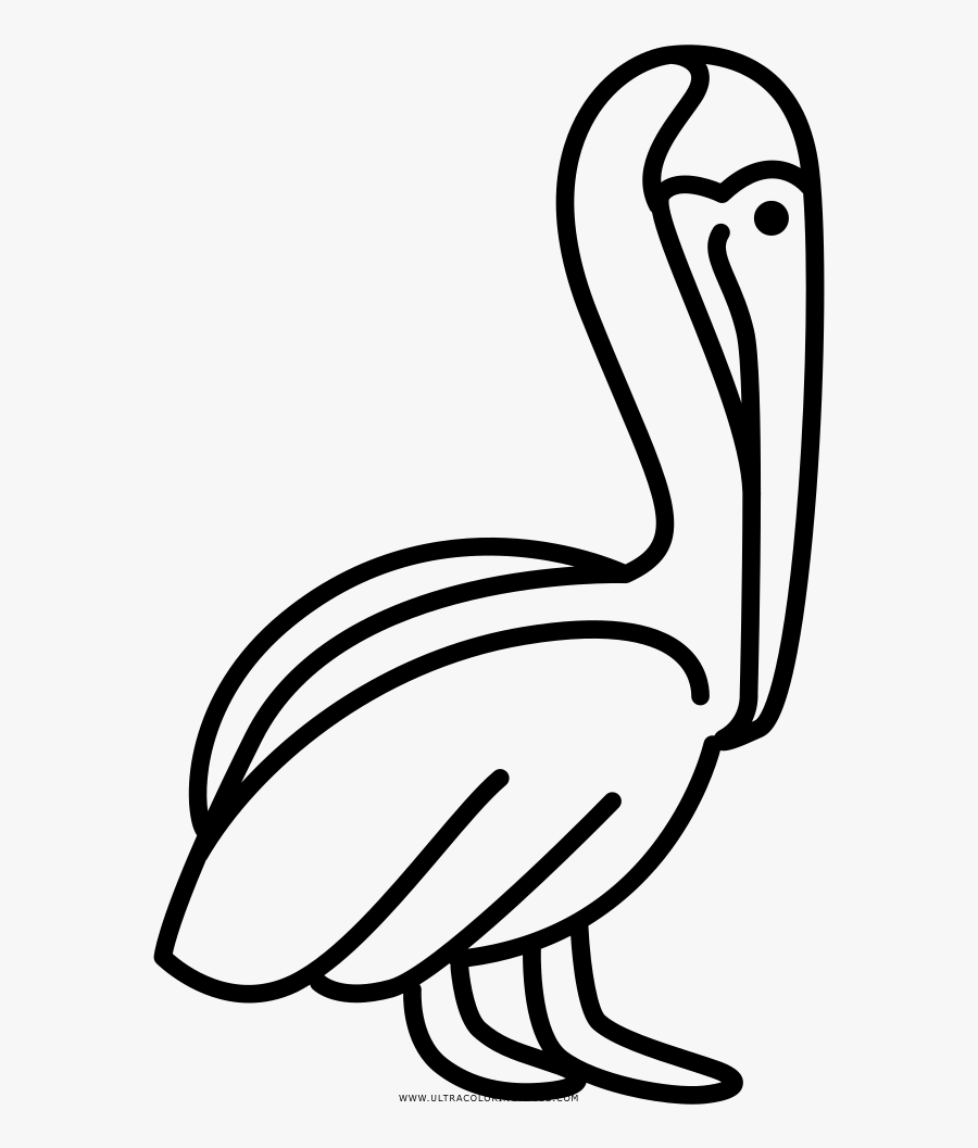 Pelican Coloring Page - Pelican, Transparent Clipart