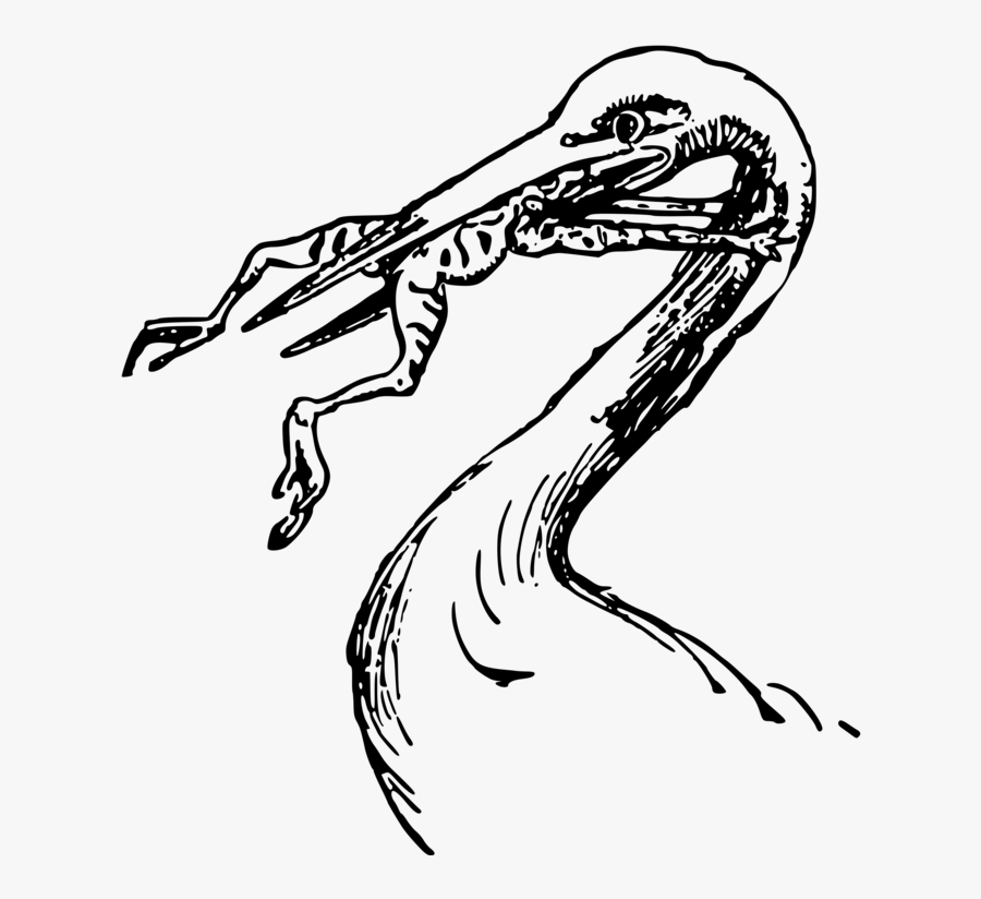 Sketch, Transparent Clipart