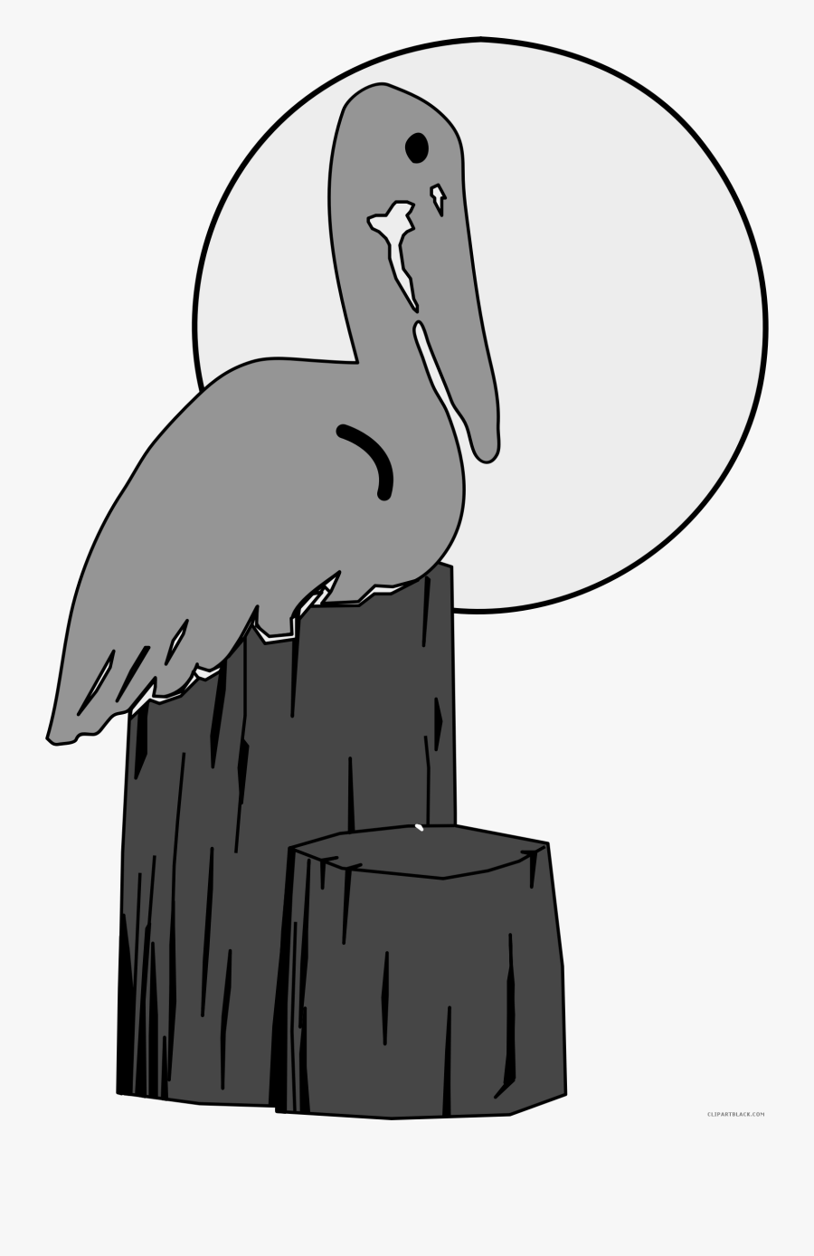 Clip Art Royalty Free Download Pelican Black And White - Seabird, Transparent Clipart