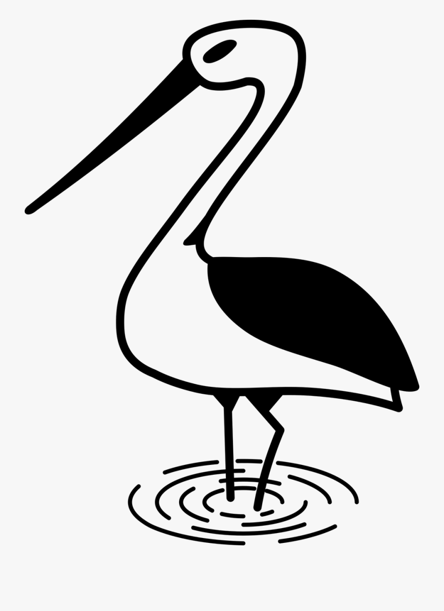 Stork Bird Nature Free Photo - صور لرسم طيور القلق, Transparent Clipart