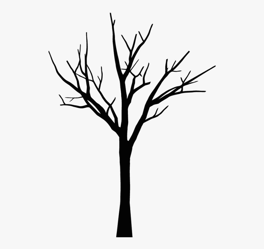 Drawing Tree Leaf Oak Sketch - Tree Drawings Without Leaves, Transparent Clipart