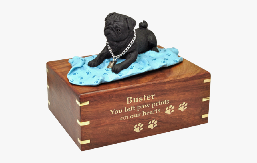 Dog Breed, Transparent Clipart