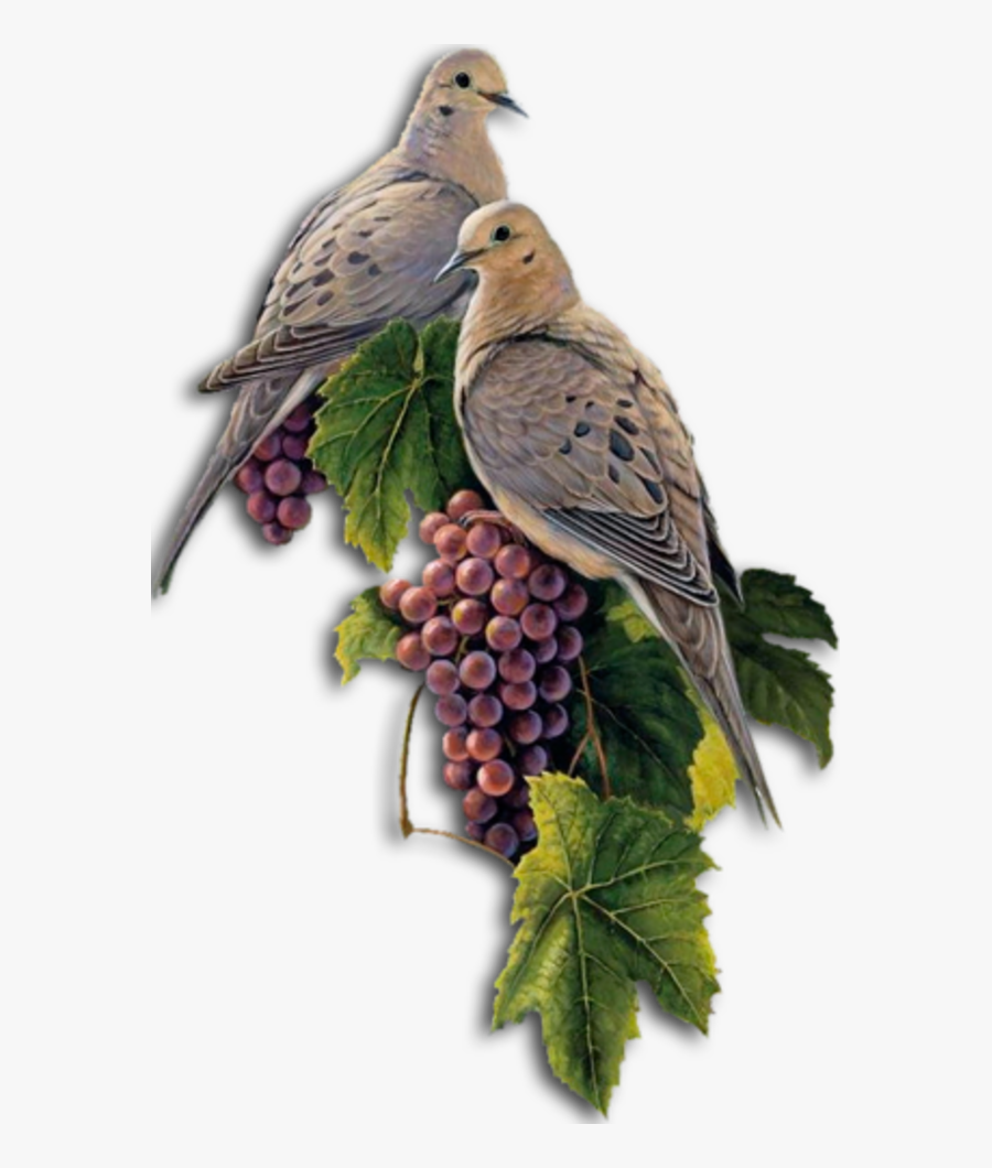 Красивые Картинки Картинки Для Декупажа Скачать Бесплатно, Transparent Clipart