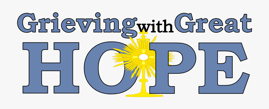 Sunflower, Transparent Clipart