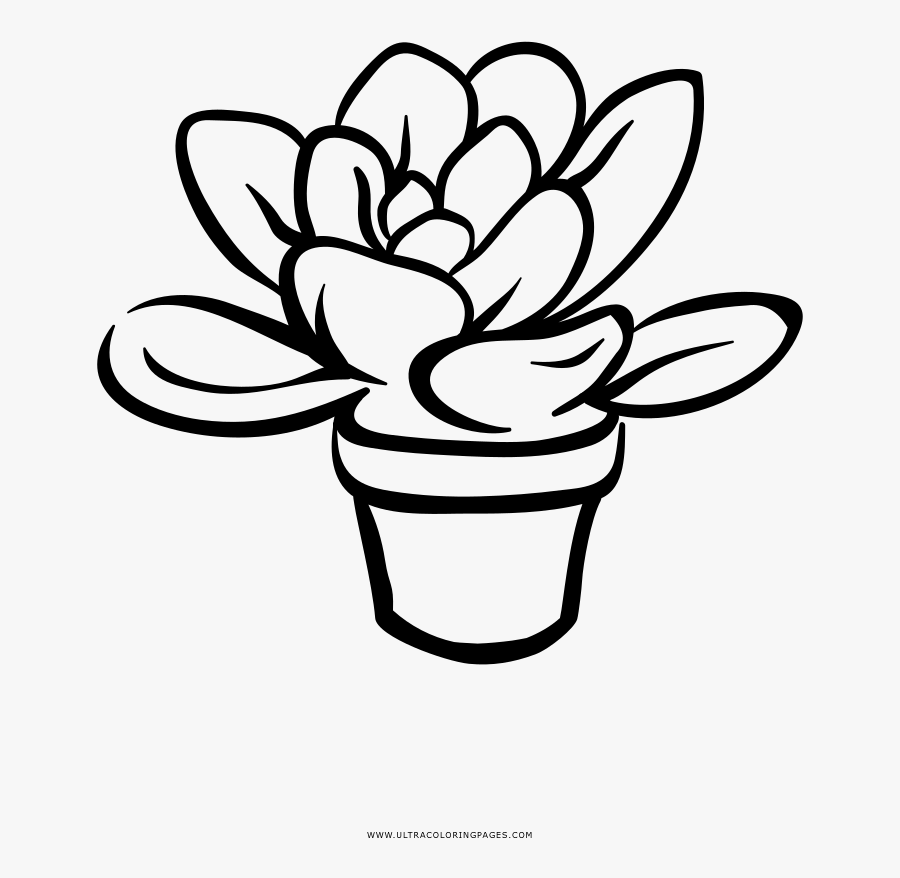 Succulent Coloring Page - Line Art, Transparent Clipart