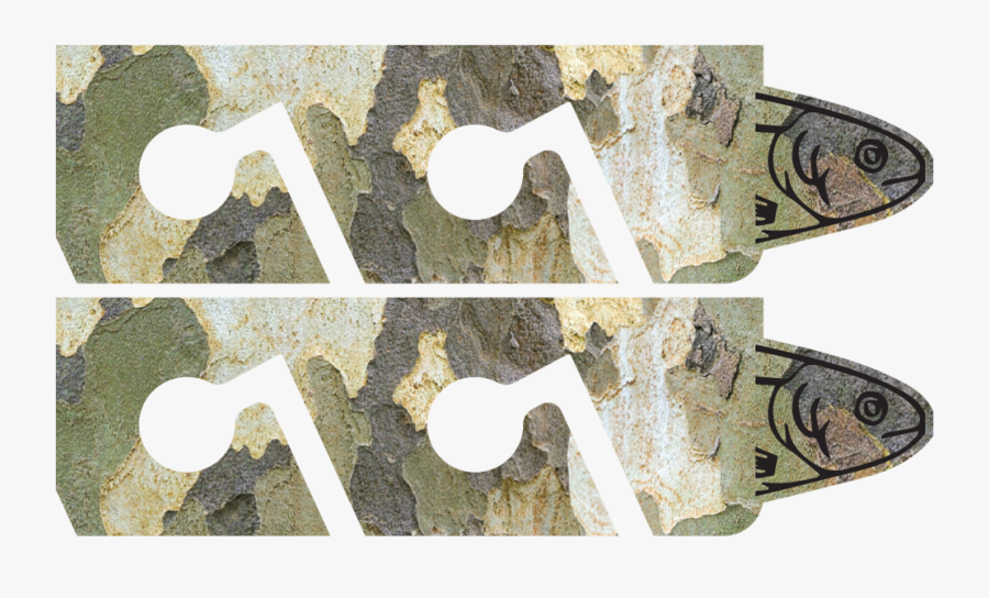 Sycamore Tree Png - Wood, Transparent Clipart