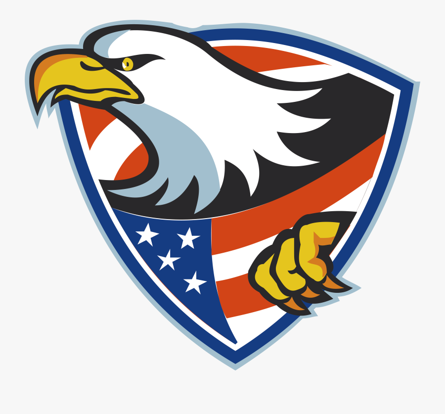 Bald Illustration Flying Shield - Cartoon American Bald Eagle, Transparent Clipart