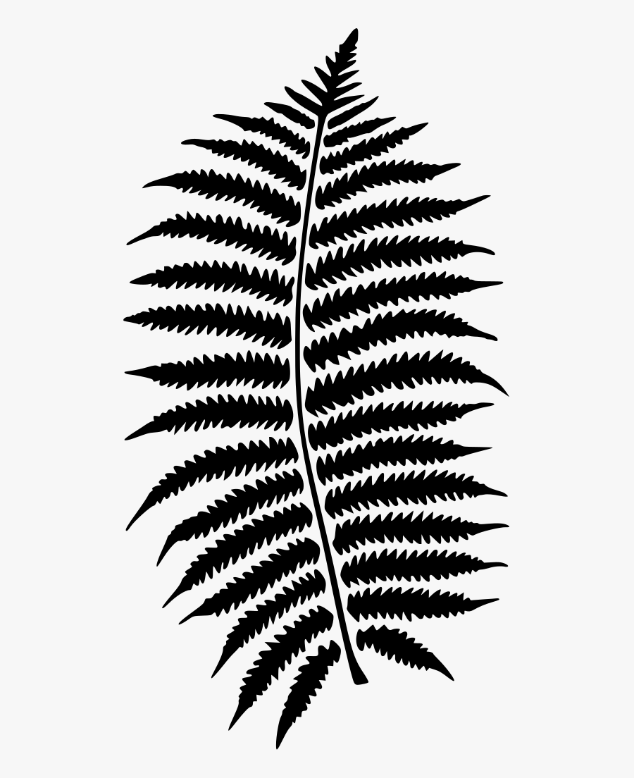 Transparent Background Fern Transparent, Transparent Clipart