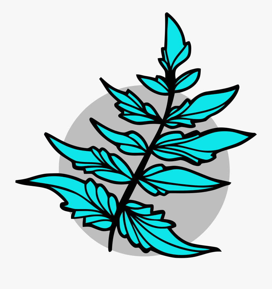 Transparent Fern Clipart, Transparent Clipart