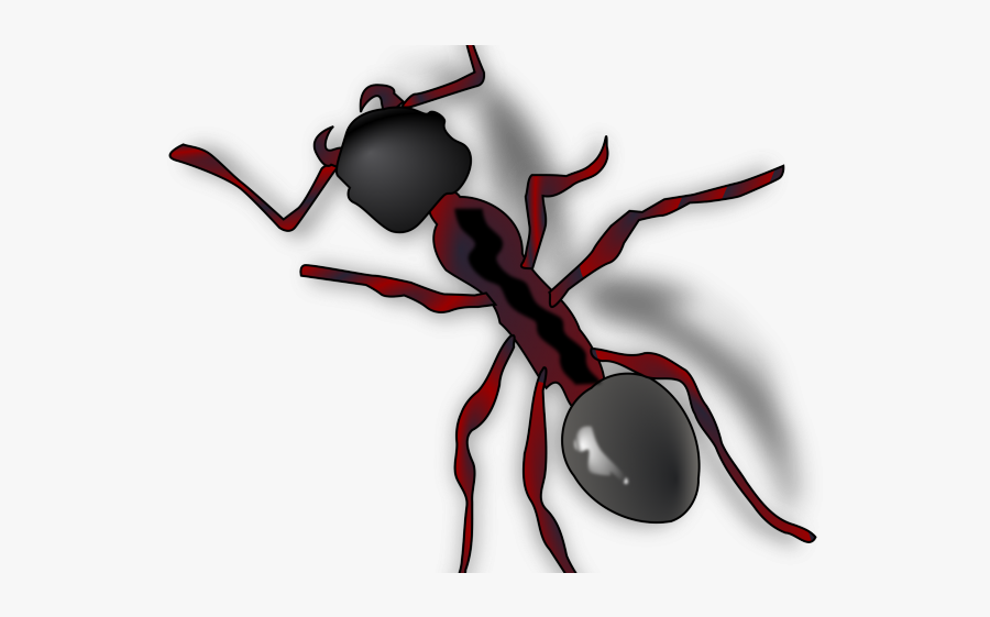 Ant Clip Art, Transparent Clipart