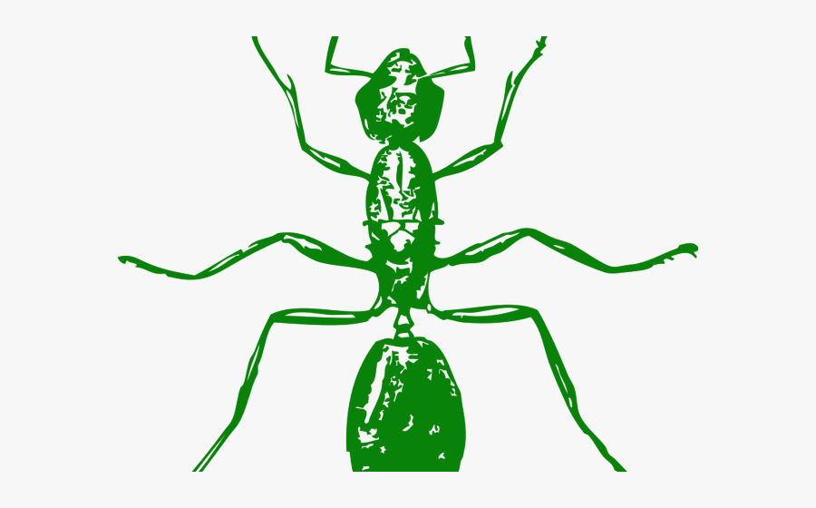 Ant Body Black And White, Transparent Clipart