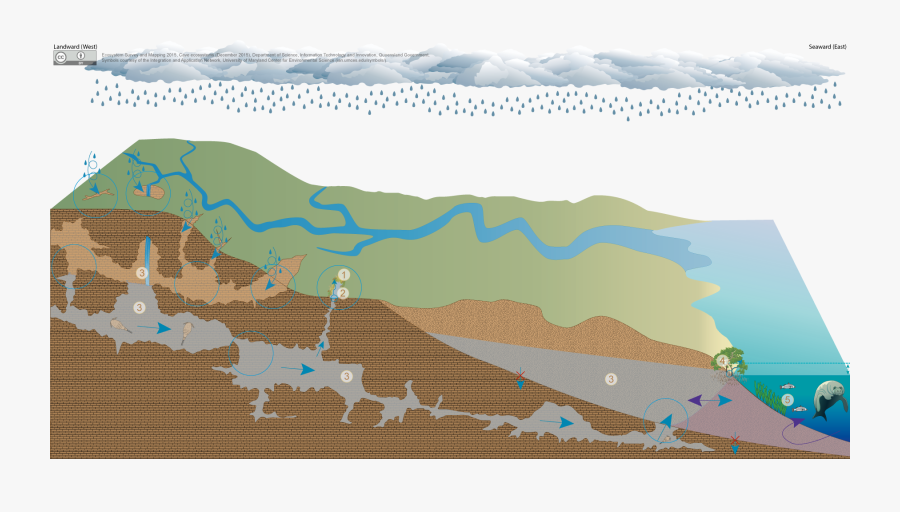 Transparent Cave Entrance Png - Cave Ecosystem, Transparent Clipart
