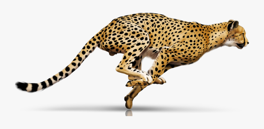 04 Infrastruktur Panel 2 Hd Running Cheetah Tattoo - Running Cheetah Transparent Background, Transparent Clipart