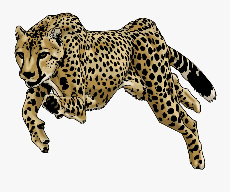 Running Leopard Png Image Background - Cheetah Running Png, Transparent Clipart