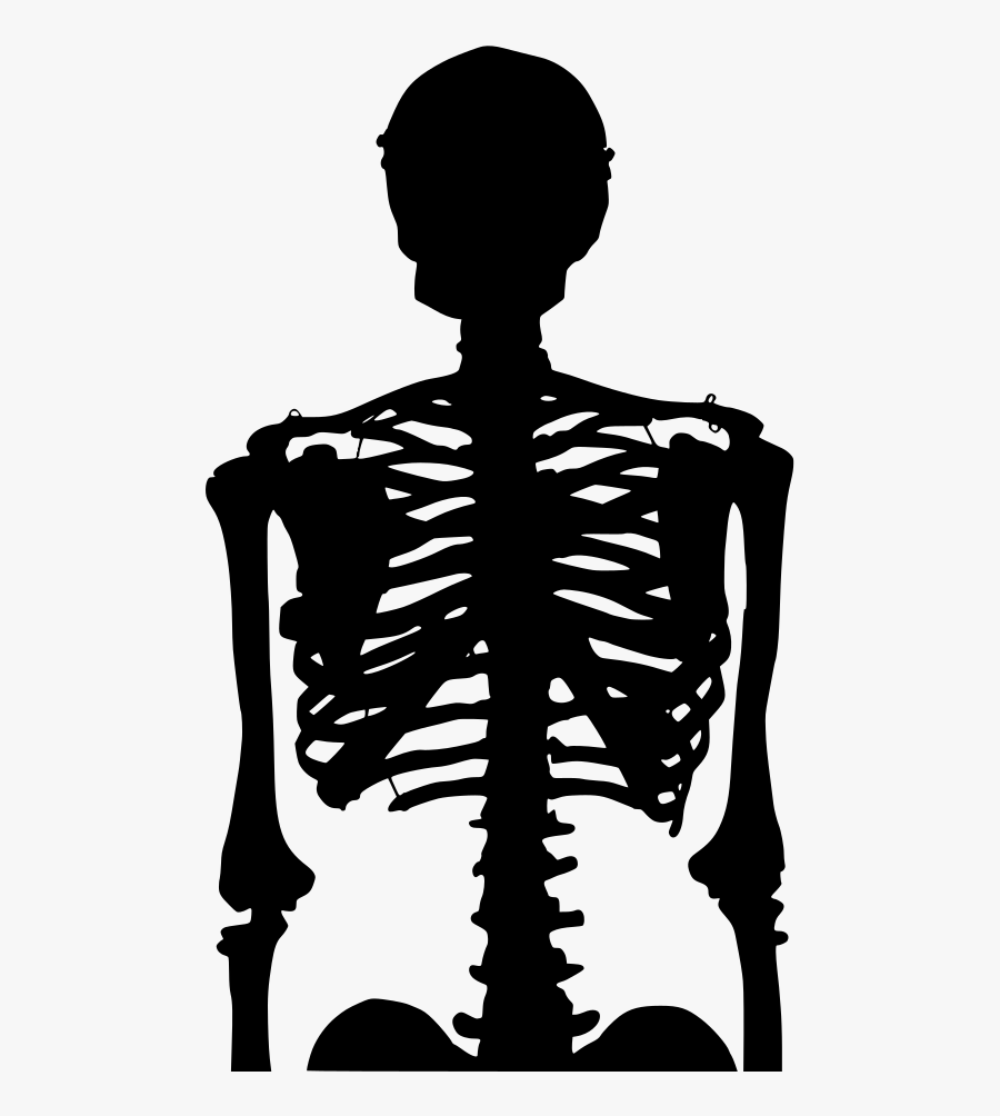 Download Png - Illustration - Human, Transparent Clipart