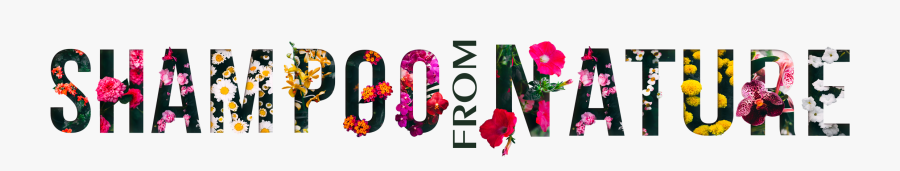 Hollyhocks, Transparent Clipart