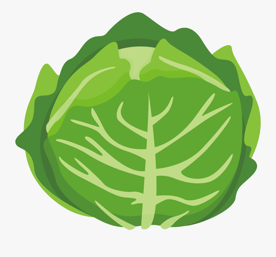 Transparent Asian Fan Clipart - Cartoon Cabbage, Transparent Clipart