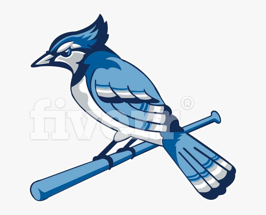 Transparent Clues Clipart - Blue Jay, Transparent Clipart