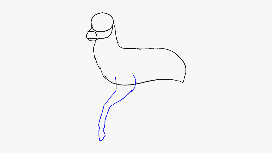 How To Draw Deer - Line Art, Transparent Clipart