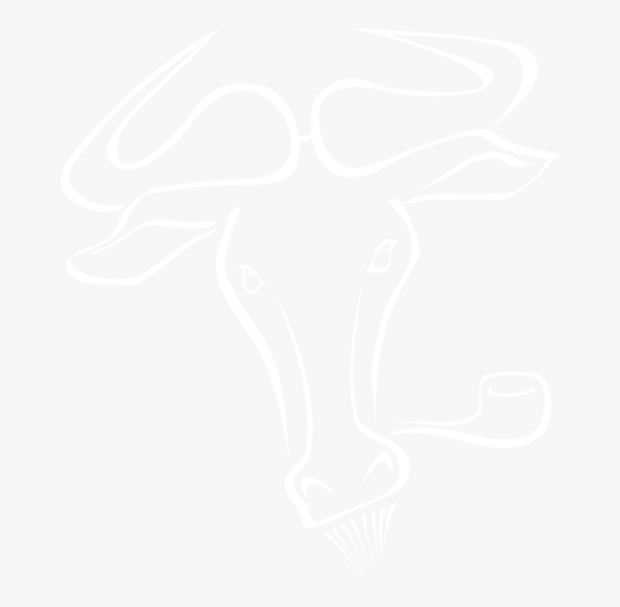 Lines Clipart Accent Line - Johns Hopkins White Logo, Transparent Clipart