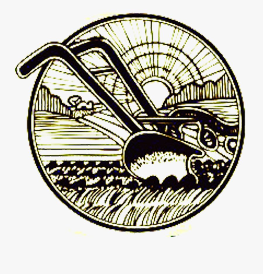 Circle, Transparent Clipart