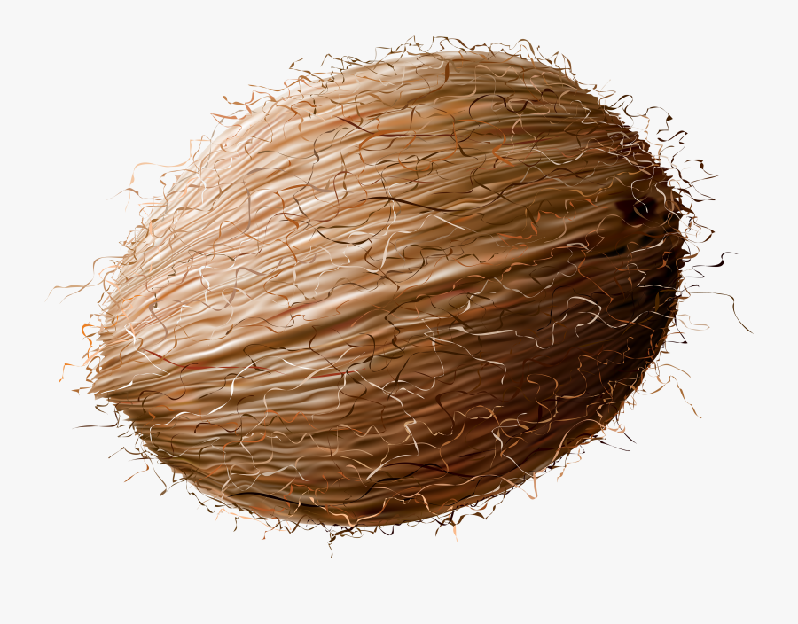 Clip Art Clip Art Coconut - Coconut Clipart, Transparent Clipart