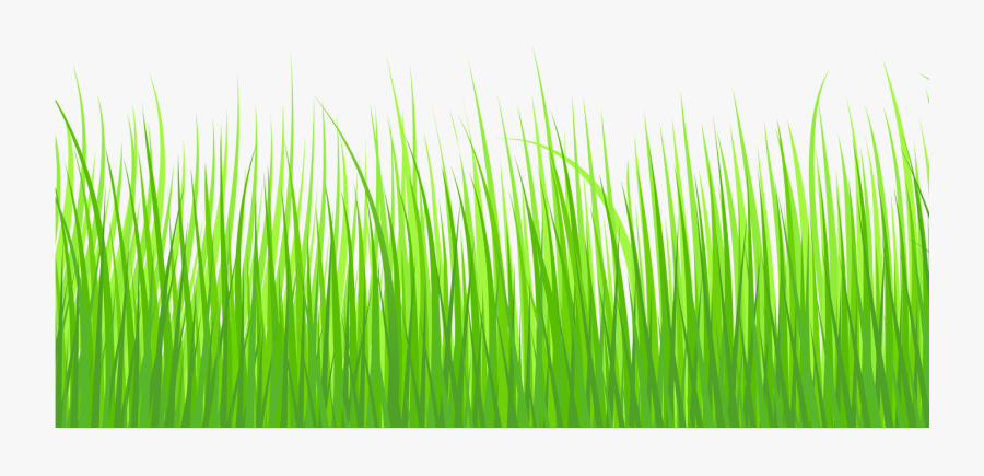 Sea Grass Clipart Spring Grass Pencil And In Color - Cartoon Grass Png, Transparent Clipart
