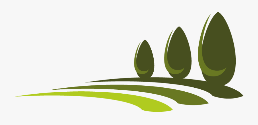 What Is Lawn And Types Of Lawn - Garden, Transparent Clipart