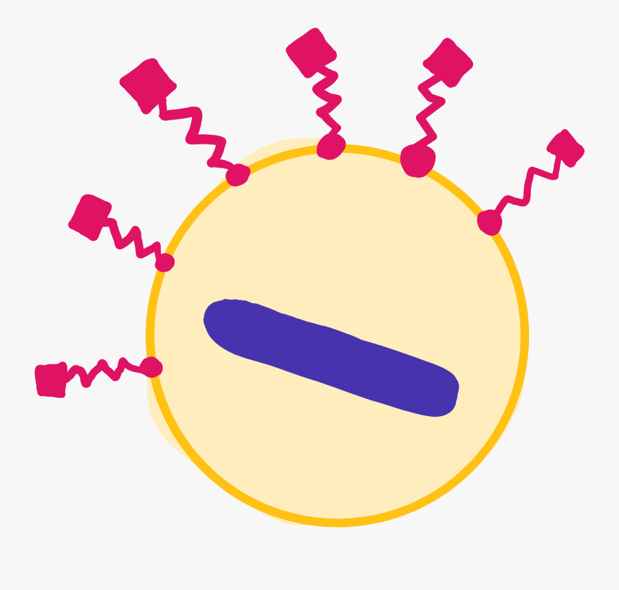 Circle, Transparent Clipart