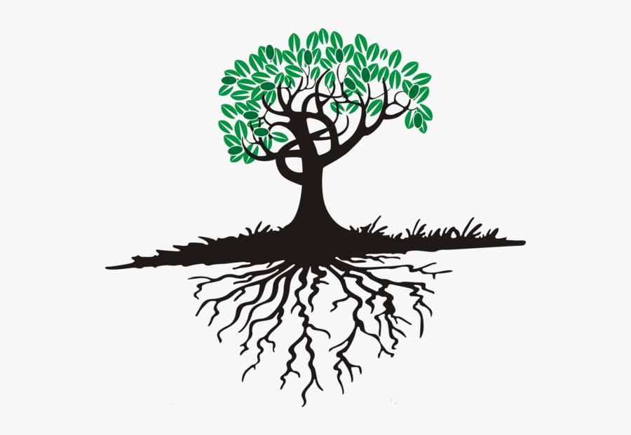 Tree Roots Cartoon, Transparent Clipart