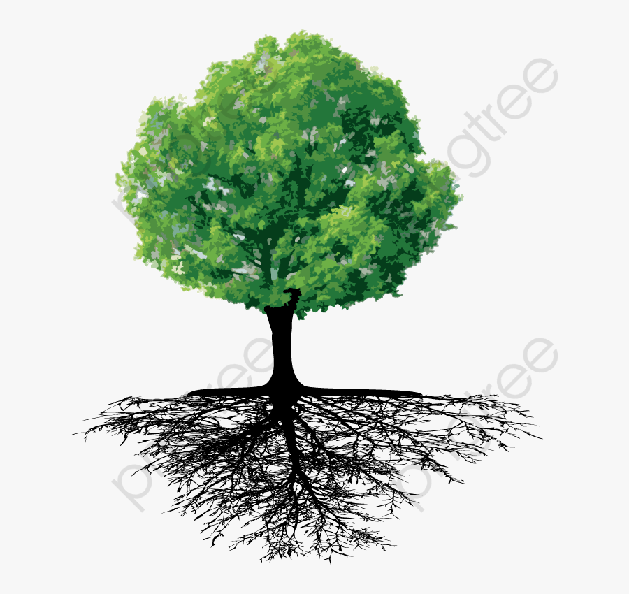Trees Png Format, Transparent Clipart