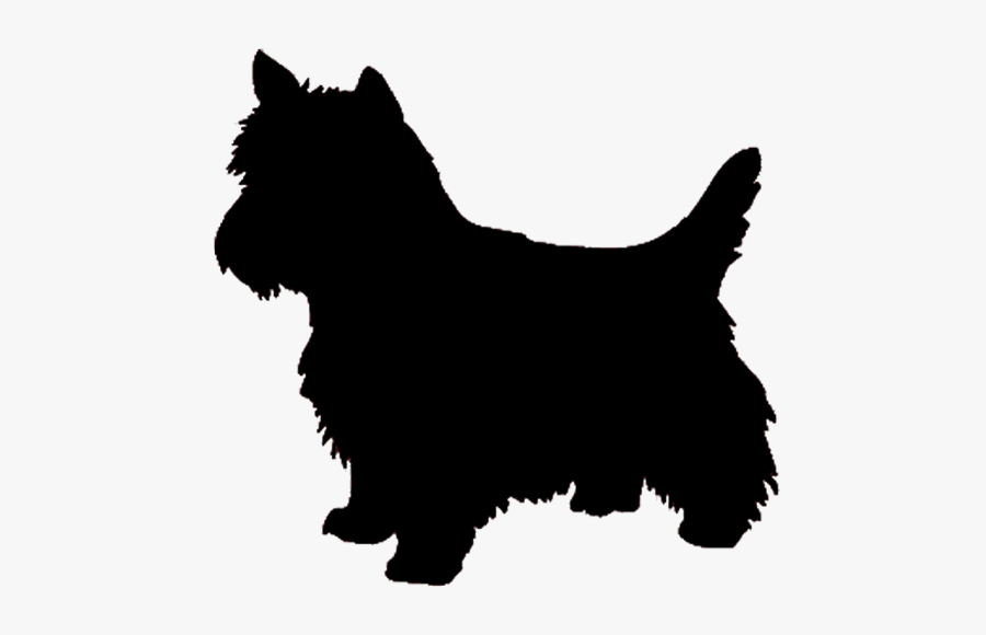 West Highland White Terrier Yorkshire Terrier Airedale - West Highland Terrier Silhouette, Transparent Clipart