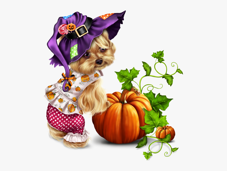 Yorkie And Pumpkin, Transparent Clipart