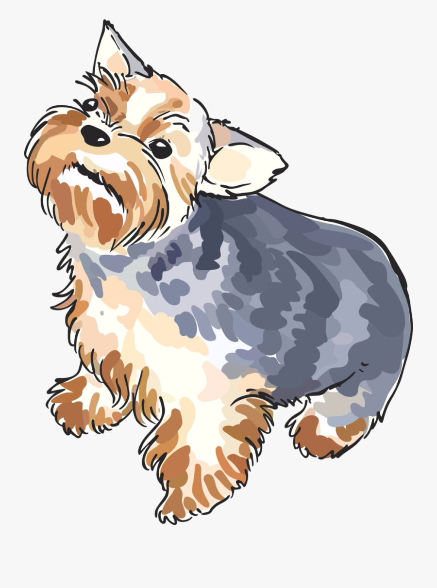 Clip Art Cartoon Yorkie - Yorkshire Terrier, Transparent Clipart