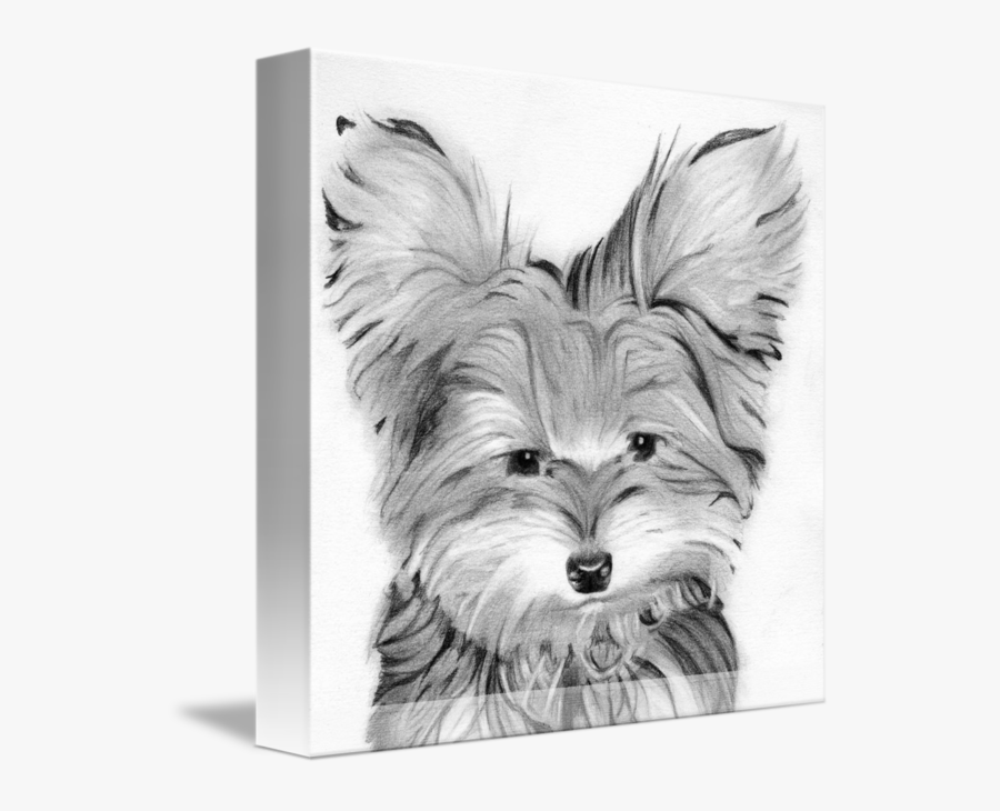 Yorkie Dog Head Pencil Print - Yorkshire Terrier, Transparent Clipart
