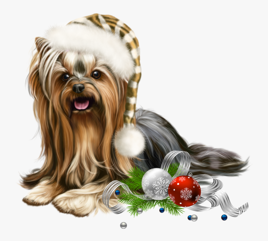 Christmas Elf Liveinternet - Yorkie Elf Dog Vector, Transparent Clipart