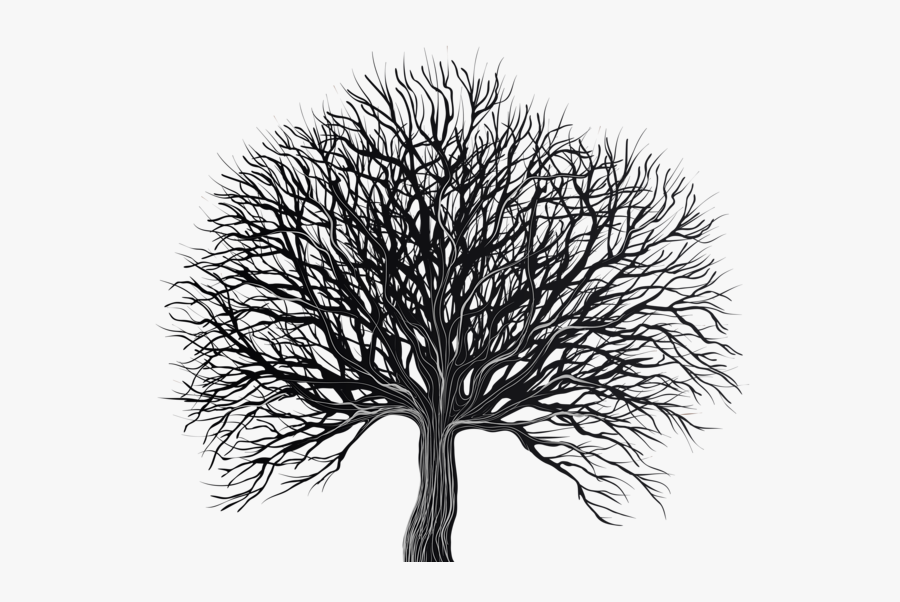Transparent Background Tree Black And White Clipart, Transparent Clipart