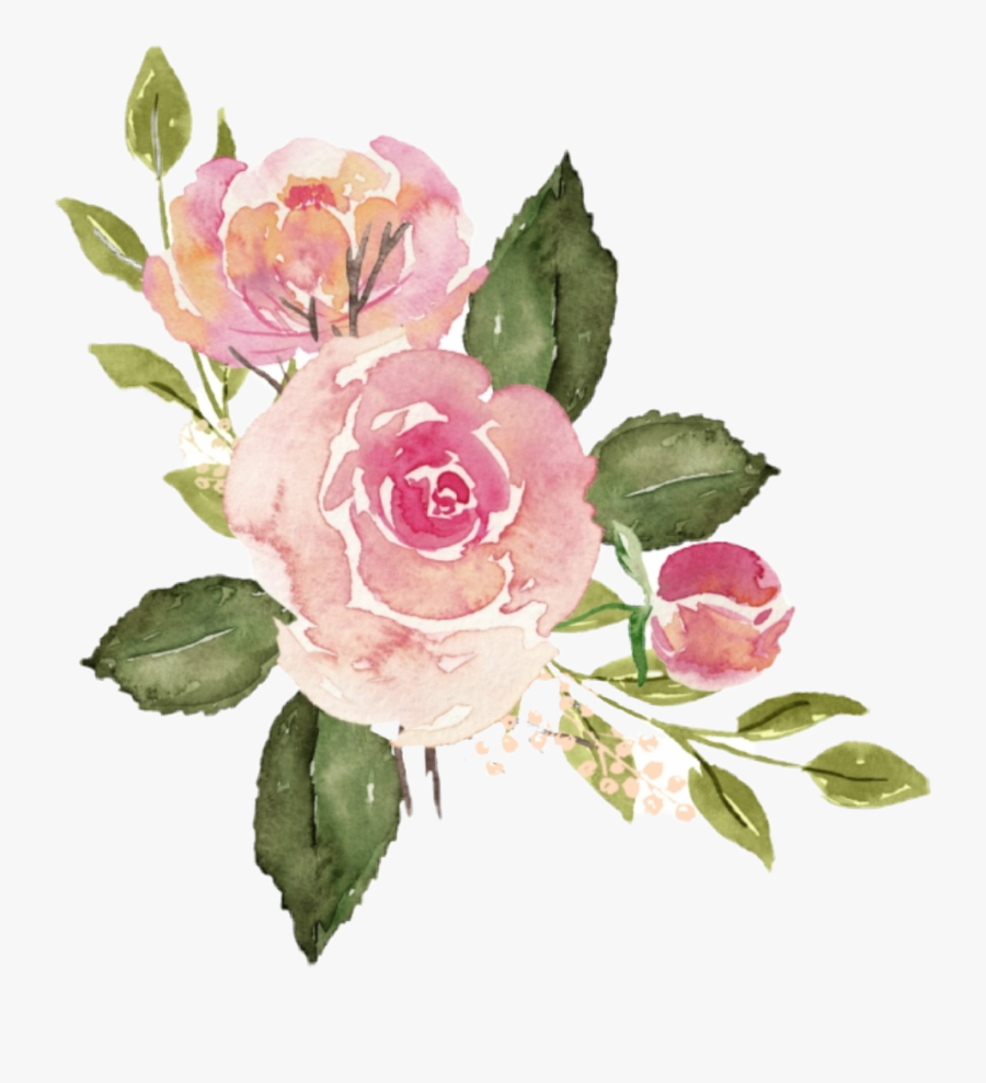 25+ Pink Rose Png - Glodak Blog