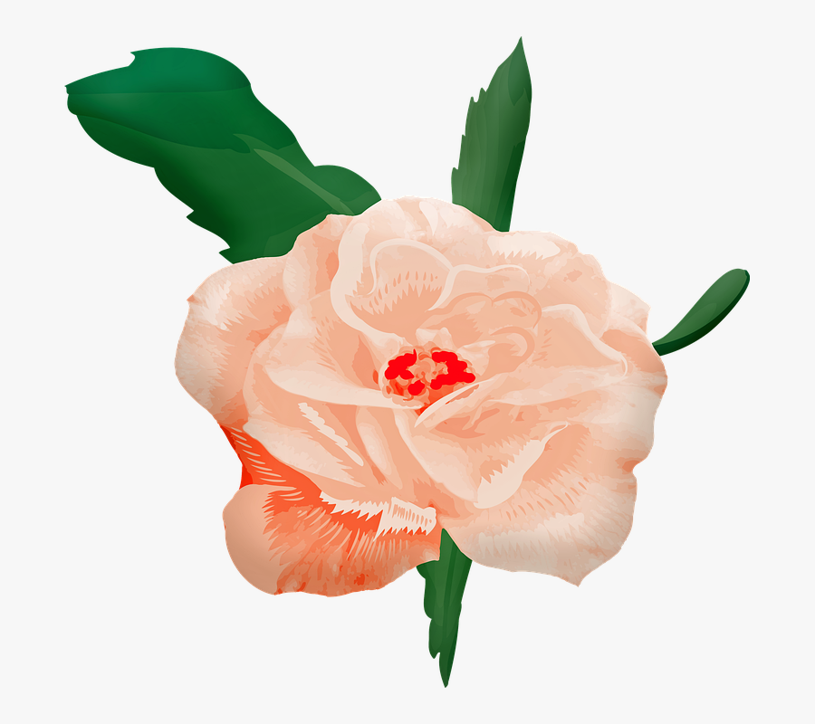 Watercolor Rose, Roses, Pink, Stem, Buds, Nature - Illustration, Transparent Clipart
